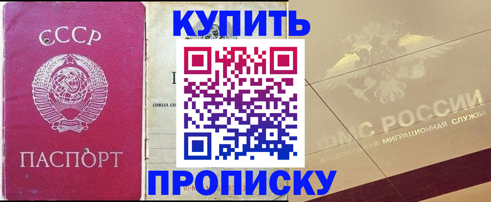 прописка для школы в Новом Осколе